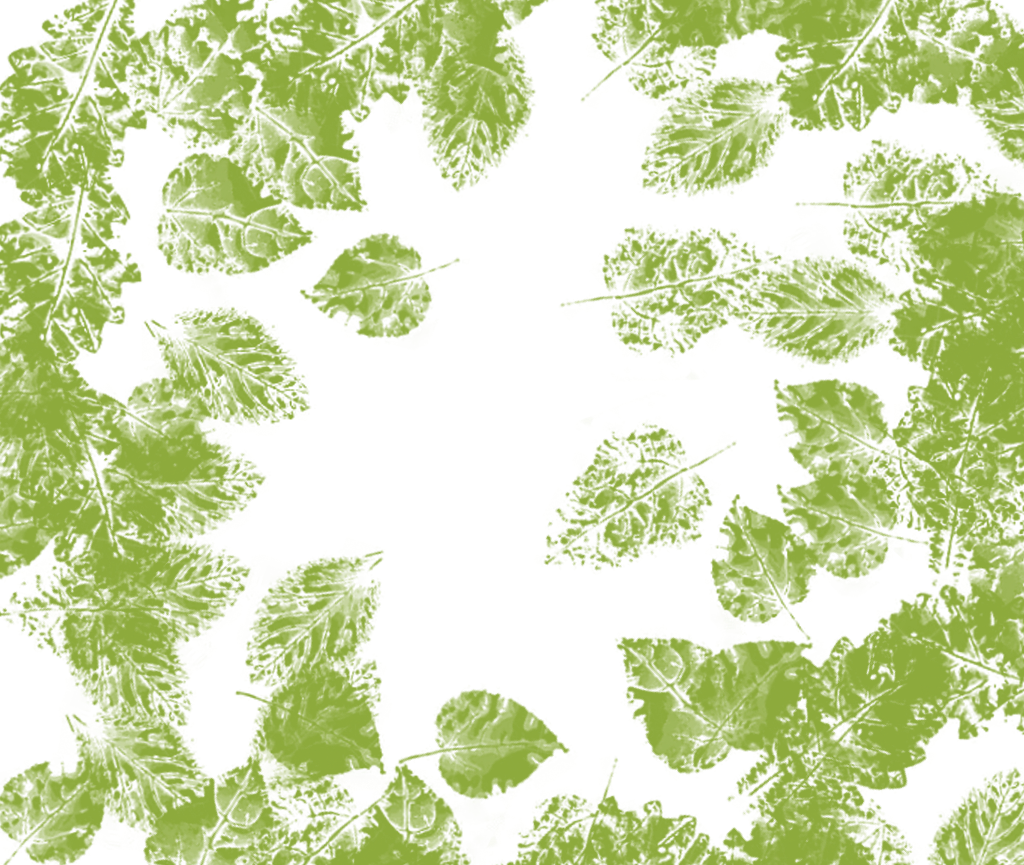 Leaf Texture